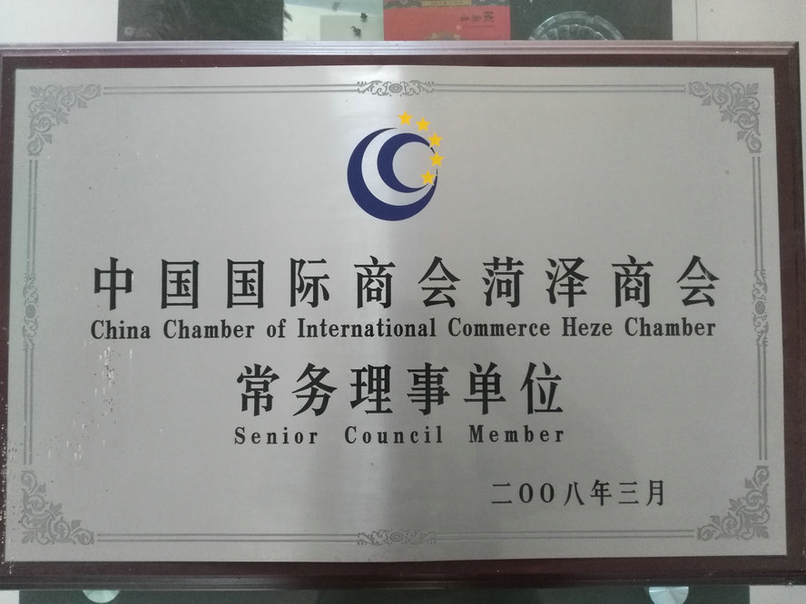 HONOR1